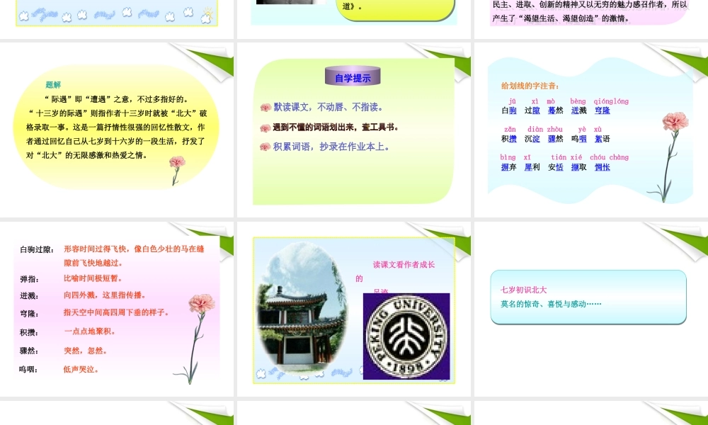 -版七年级语文上册 第8课 十三岁的际遇新课标同步授课课件 苏教版 课件
