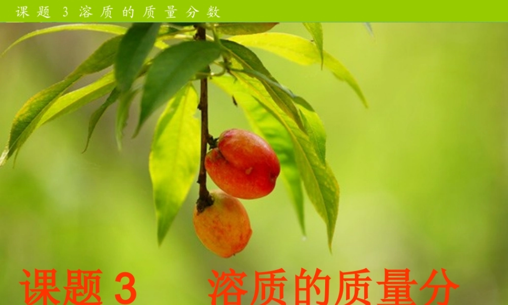 九年级化学下册 第九单元课题3溶质的质量分数课件 人教新课标版 课件