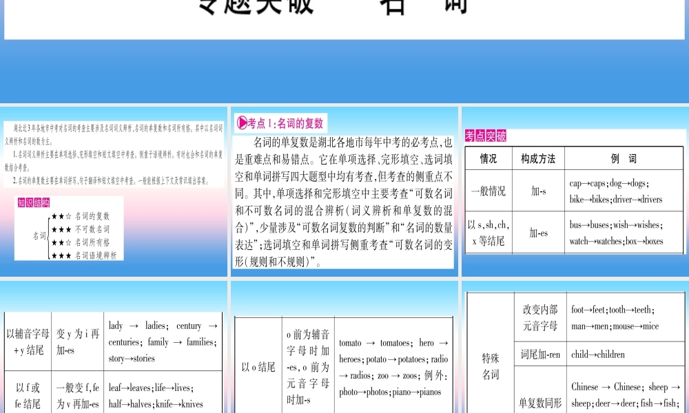 (湖北专用版)版中考英语复习 第二篇 中考专题突破 第一部分 语法专题 专题突破1 名词课件
