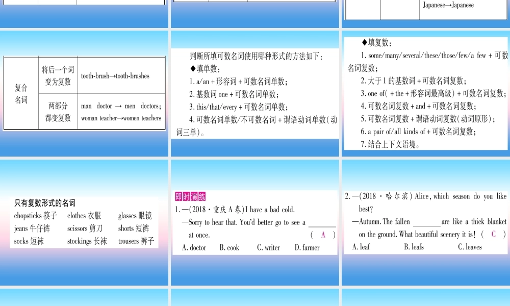 (湖北专用版)版中考英语复习 第二篇 中考专题突破 第一部分 语法专题 专题突破1 名词课件