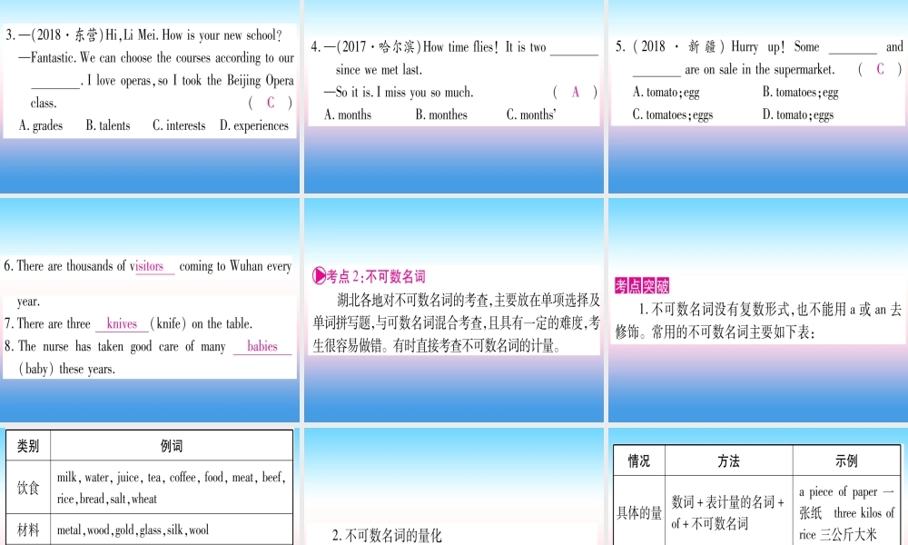 (湖北专用版)版中考英语复习 第二篇 中考专题突破 第一部分 语法专题 专题突破1 名词课件
