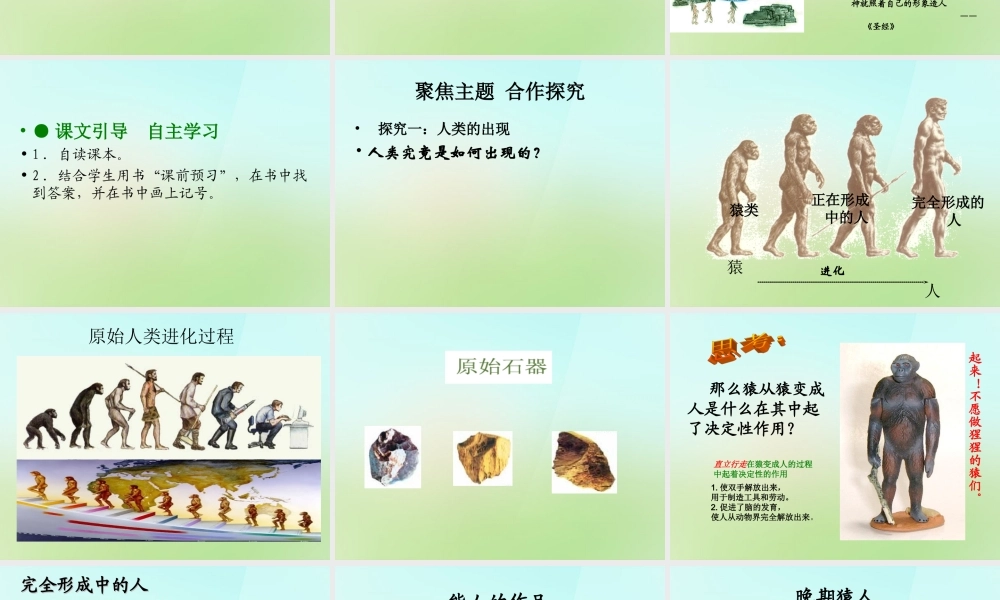 九年级历史上册 第1课 人类文明的形成课件 新人教版 课件