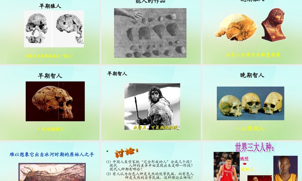 九年级历史上册 第1课 人类文明的形成课件 新人教版 课件