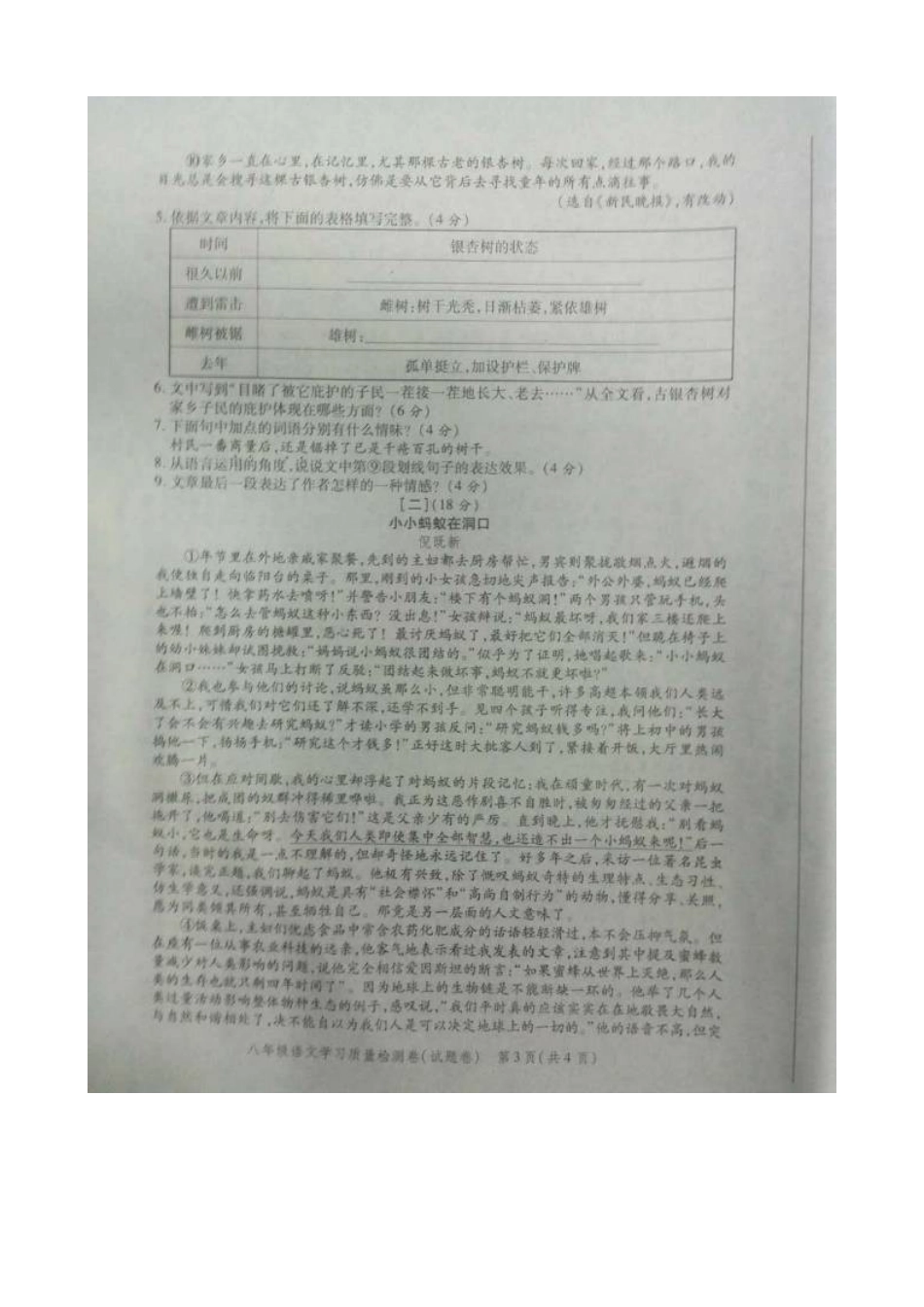 安徽省合肥市瑶海区 八年级语文下学期期末统考试卷新人教版试卷_第3页