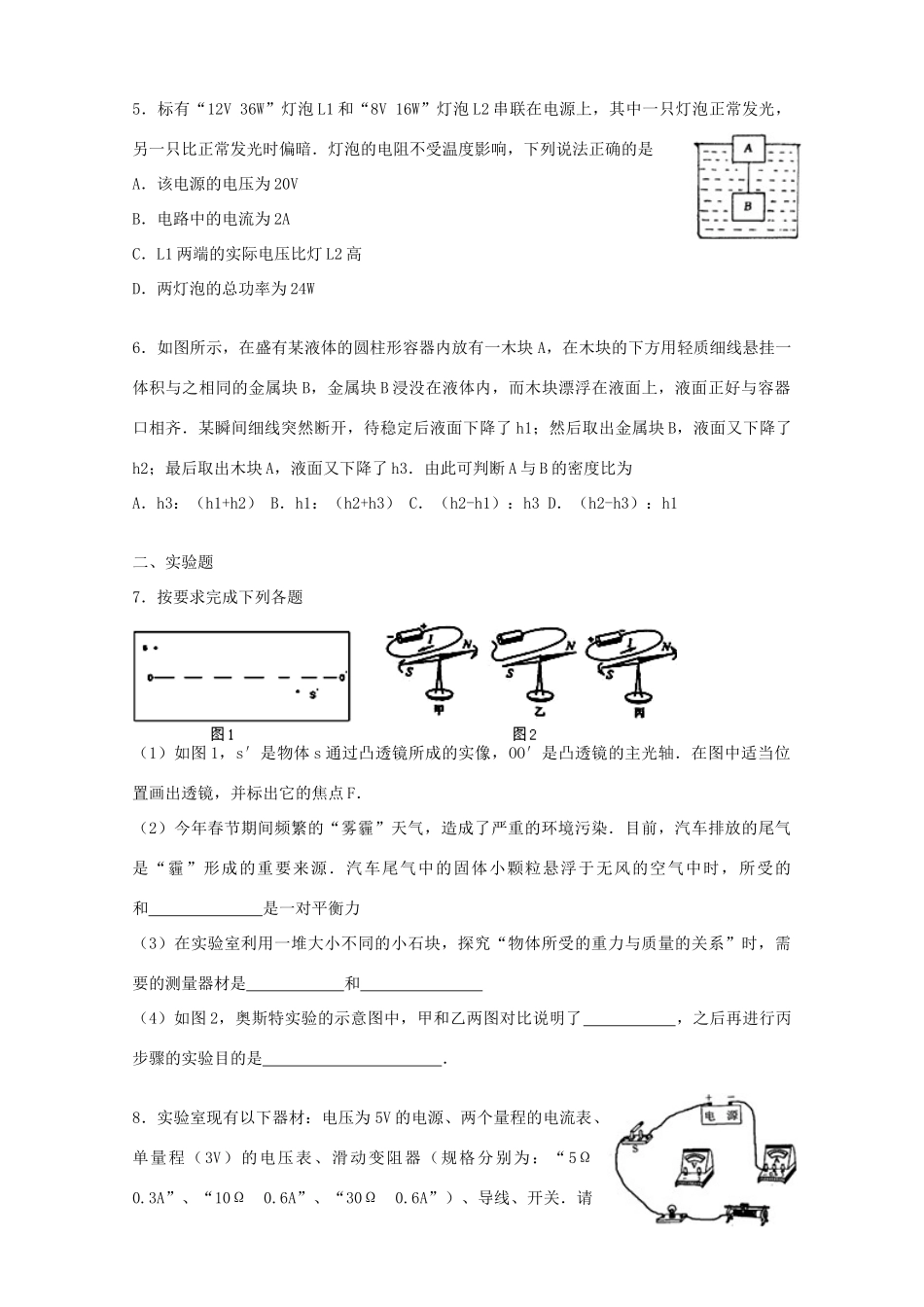 中考物理复习模拟卷试卷_第2页