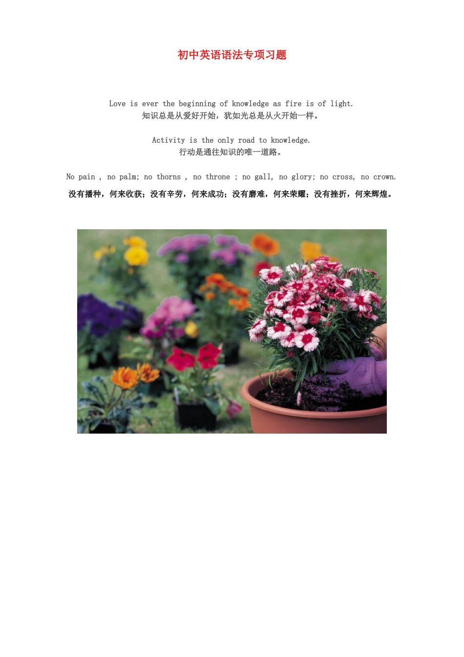 初中英语 语法专项习题 苏教版 试题_第1页