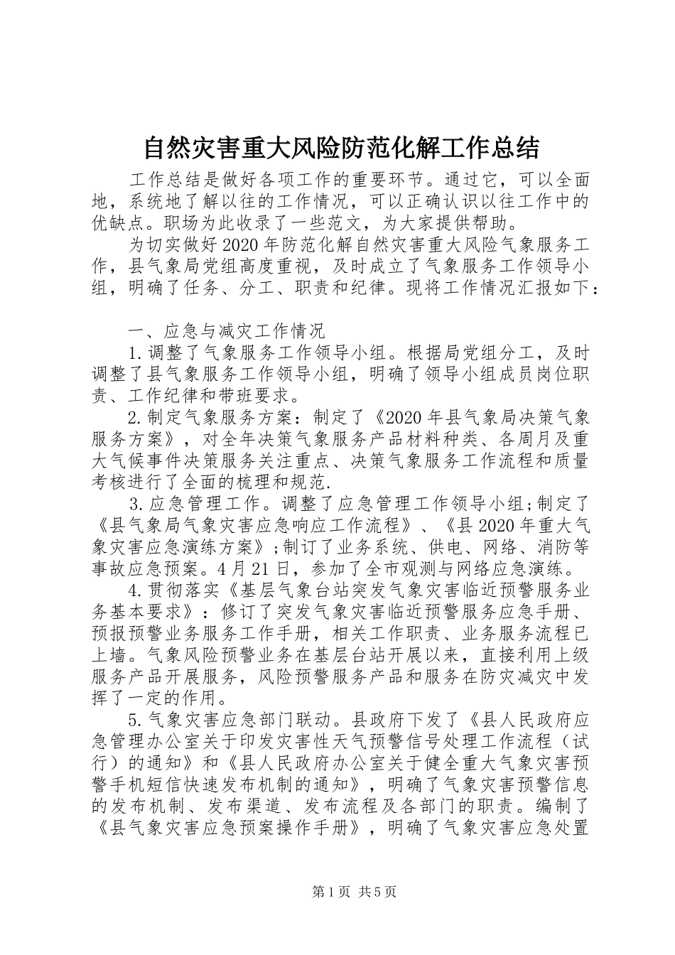 自然灾害重大风险防范化解工作总结 _第1页