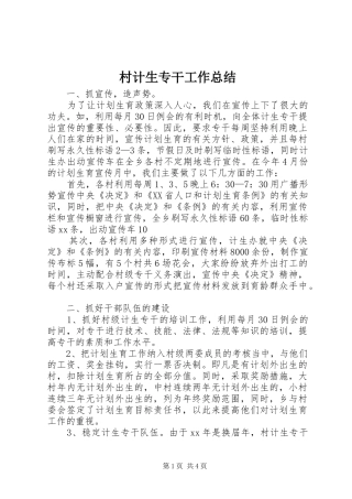 村计生专干工作总结 