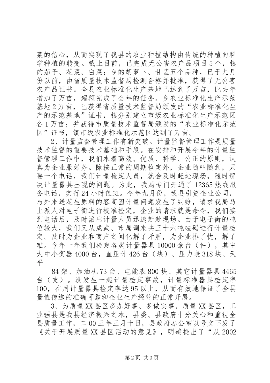 20XX年工作总结03 (3)_第2页