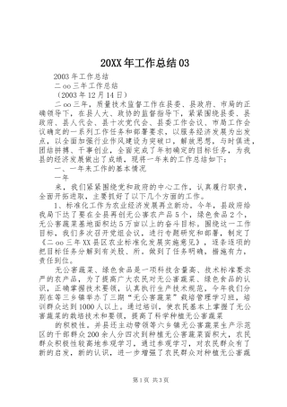 20XX年工作总结03 (3)