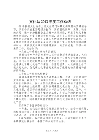 文化站201X年度工作总结
