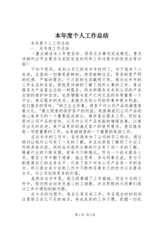 本年度个人工作总结 