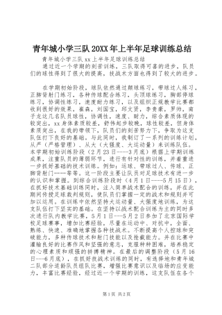 青年城小学三队20XX年上半年足球训练总结