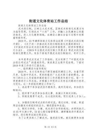 街道文化体育站工作总结 