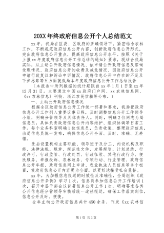20XX年终政府信息公开个人总结范文