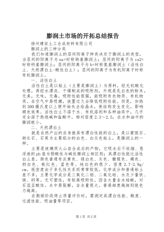 膨润土市场的开拓总结报告 