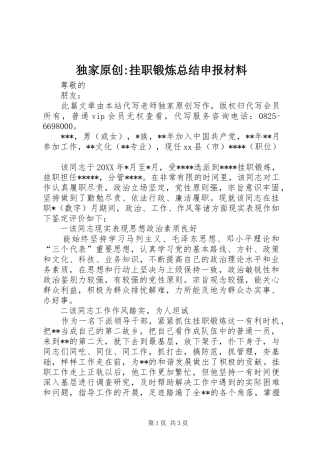 独家原创-挂职锻炼总结申报材料 