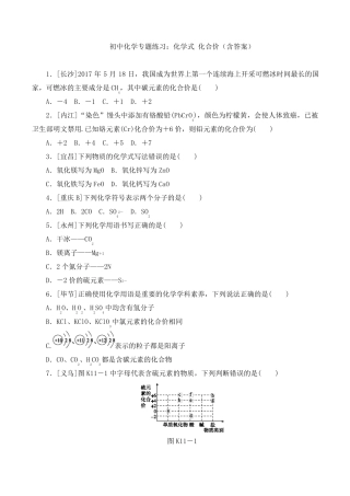 初中化学专题练习：化学式化合价