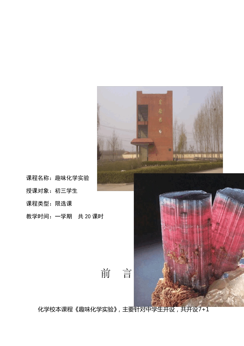 初中化学校本课程_第2页