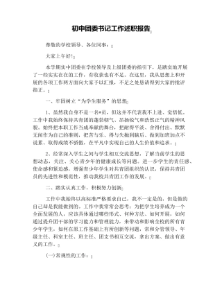 初中团委书记工作述职报告