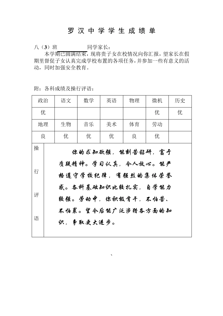 初中学生成绩报告单模板_第3页