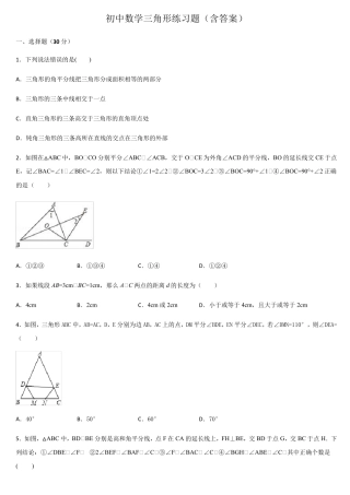 初中数学三角形练习题