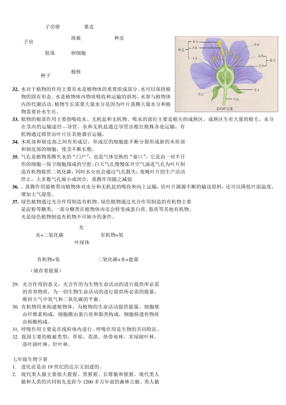 初中生物总复习资料超全}生物初中复习资料_第3页