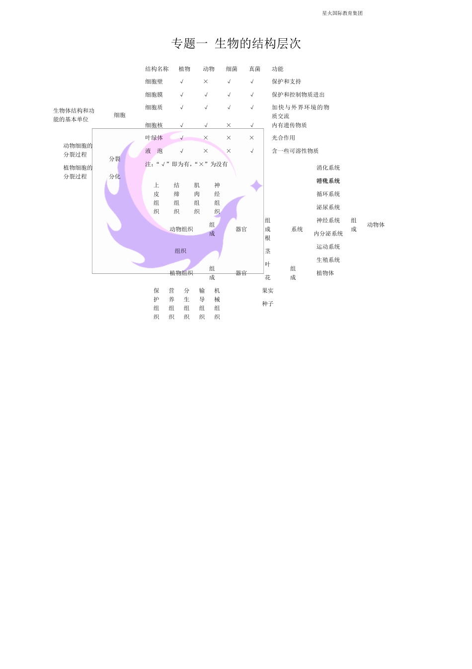 初中生物知识框架图_第1页