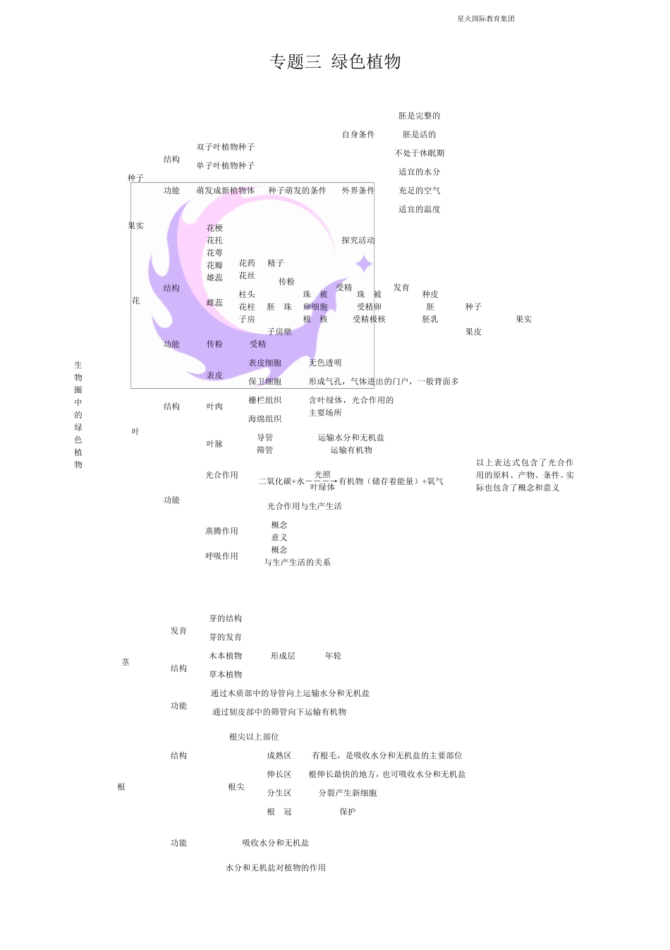 初中生物知识框架图_第3页