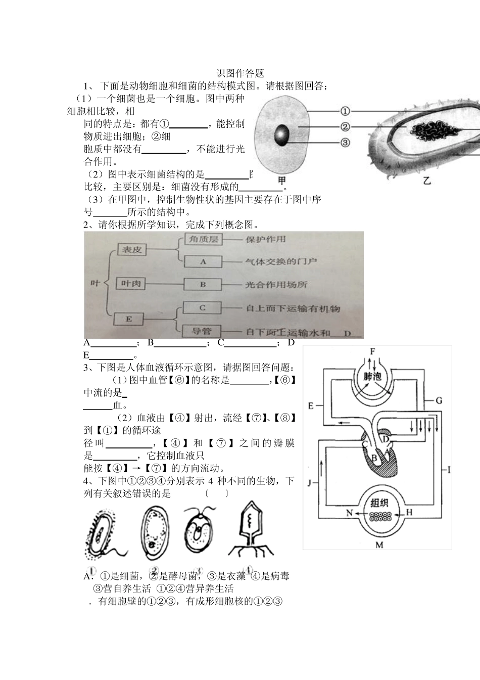 初中生物识图作答专项练习题_第1页