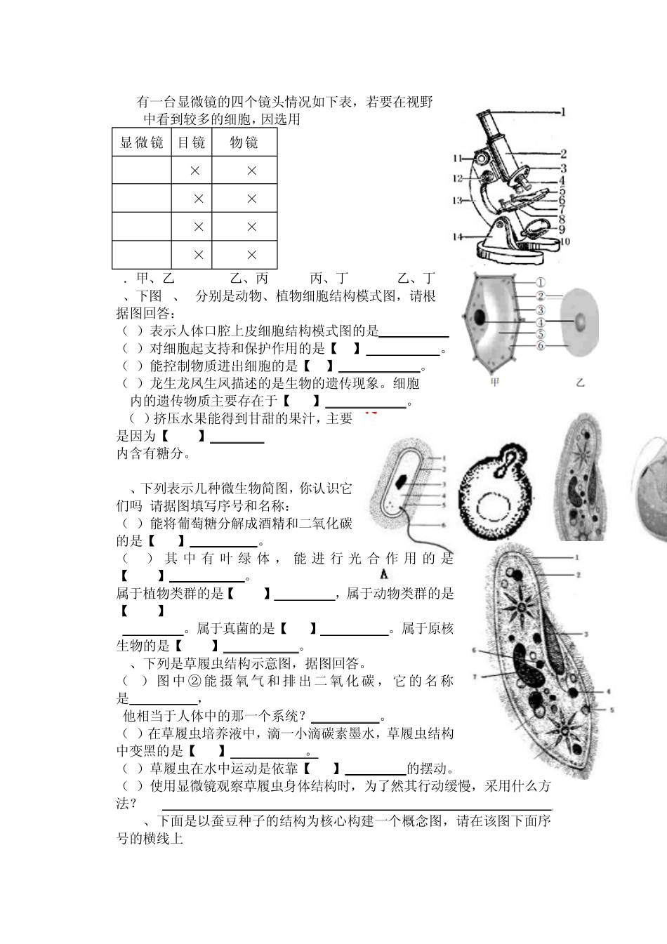 初中生物识图作答专项练习题_第3页