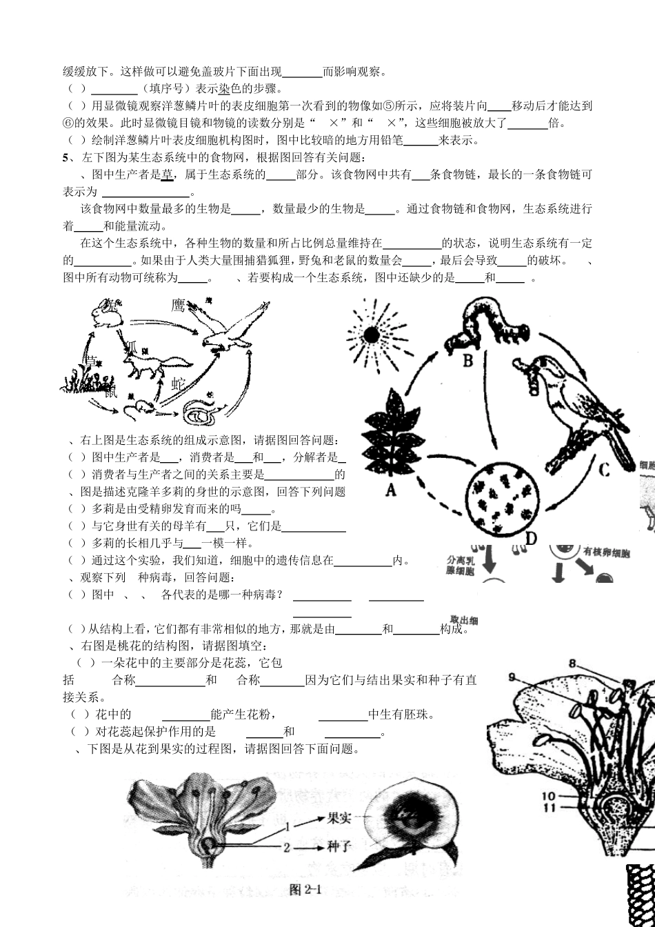 初中生物识图填空题(修改版)_第2页