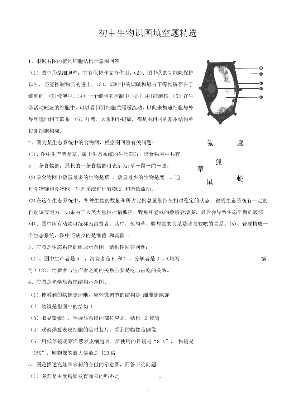 初中生物识图填空题_第1页