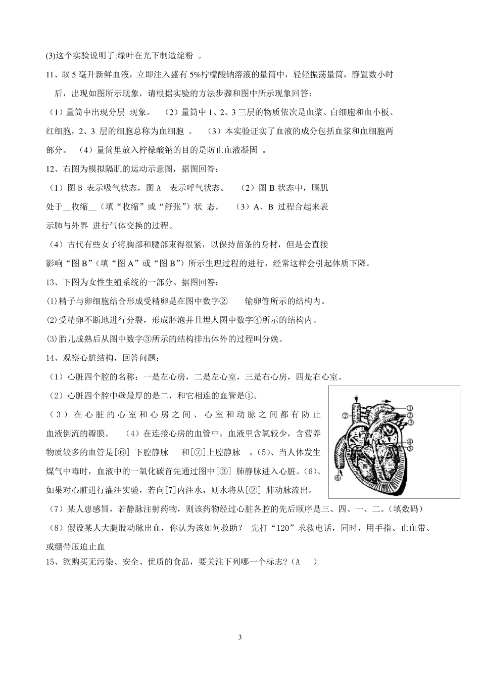 初中生物识图填空题_第3页