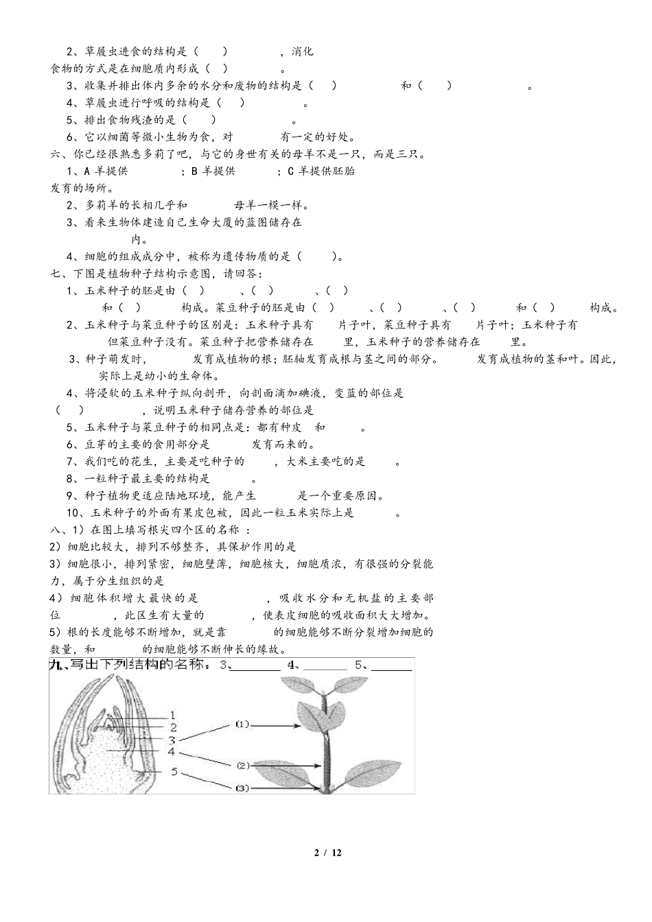 初中生物识图题专练_第2页