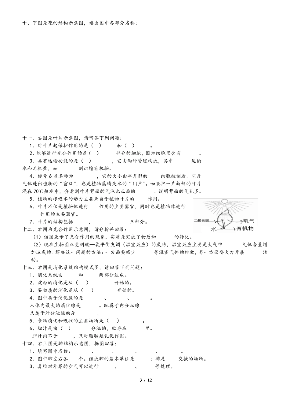 初中生物识图题专练_第3页
