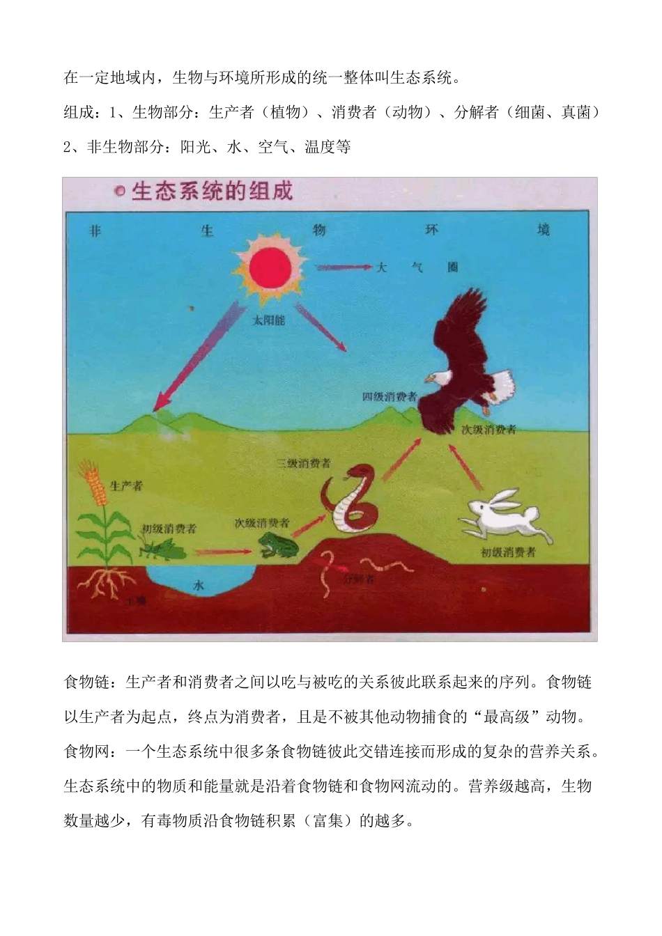 初中生物重点知识点考点总结_第3页