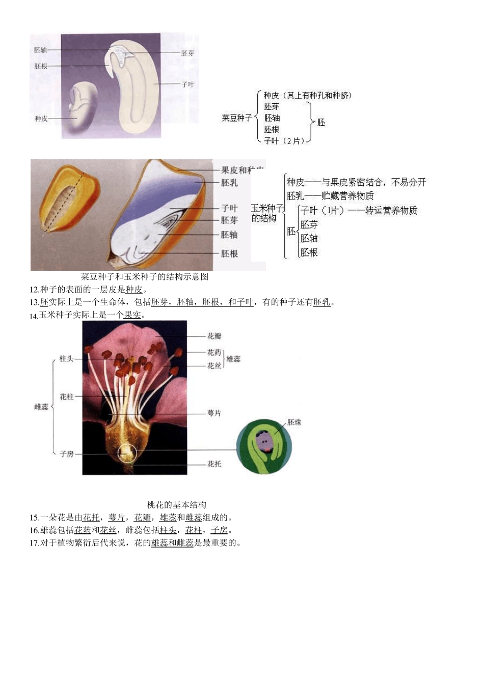 初中生物重要图解_第2页