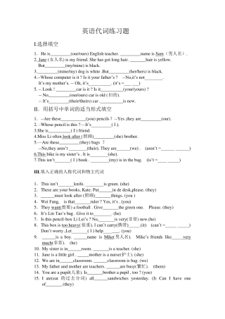 初中英语人称代词练习