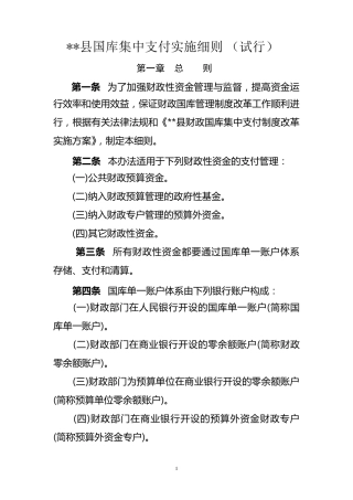 国库集中支付实施细则