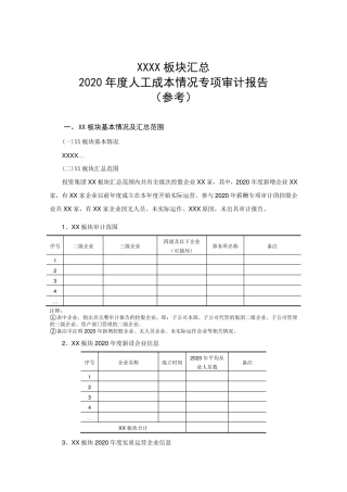 国有企业薪酬专项审计报告
