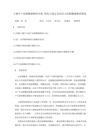 土壤中产淀粉酶菌株的分离与鉴定及高活力淀粉酶的筛选
