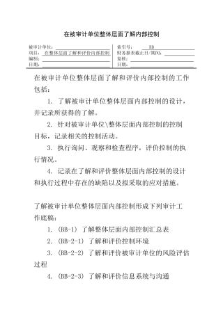 在被审计单位整体层面了解内部控制的审计工作底稿1