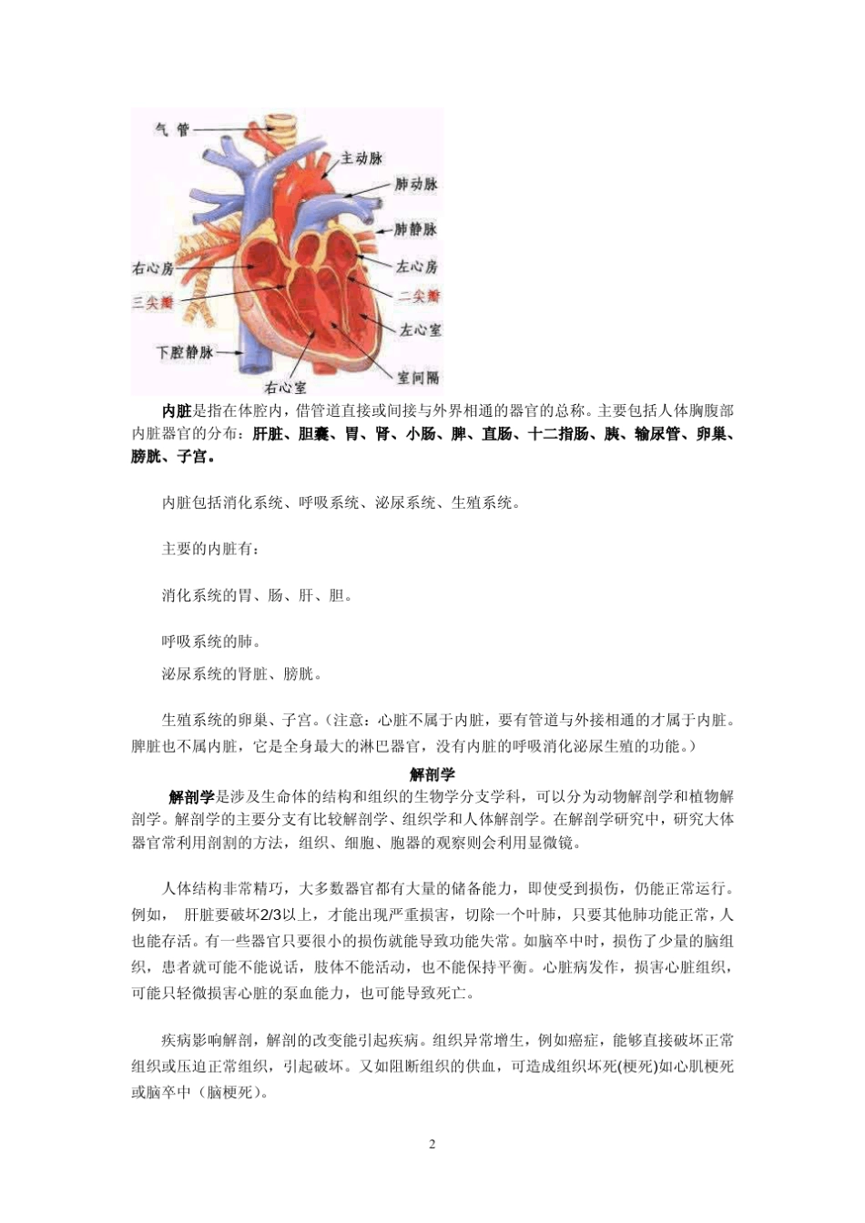 基础知识(医学基础知识)_第2页