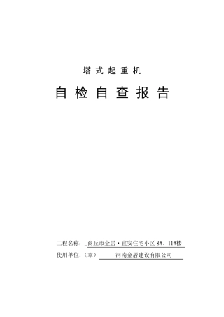 塔吊自检报告