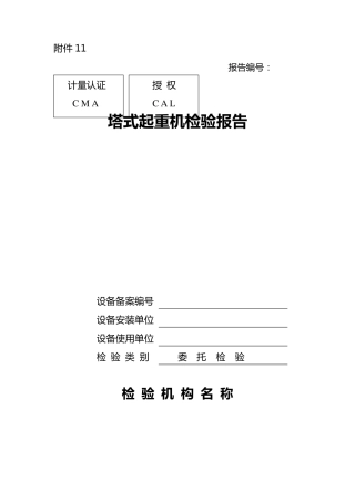 塔式起重机检验报告