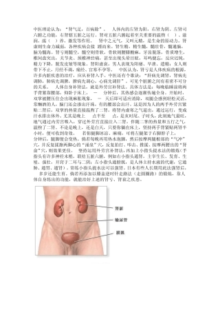 增加肾动力的日常小办法