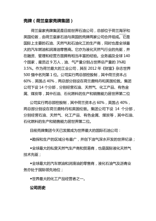 壳牌公司简介