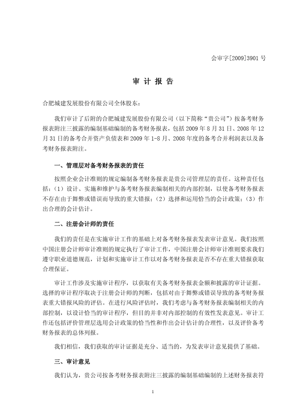 备考审计报告_第3页