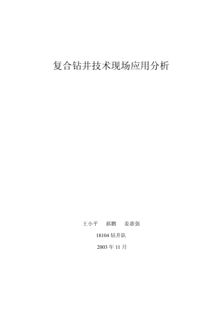 复合钻井技术现场应用分析